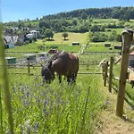 Апартаменты Auszeit Am Hasenberg *