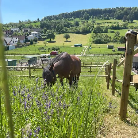 Apartmán Auszeit Am Hasenberg *
